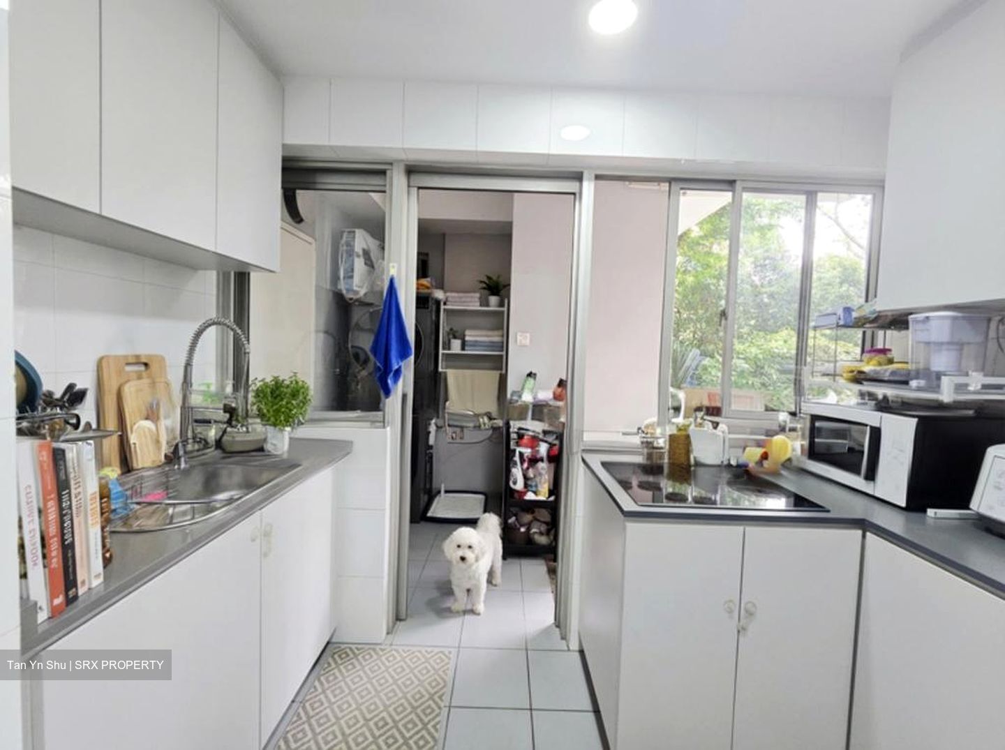 Grandeur 8 (D20), Condominium #529217241
